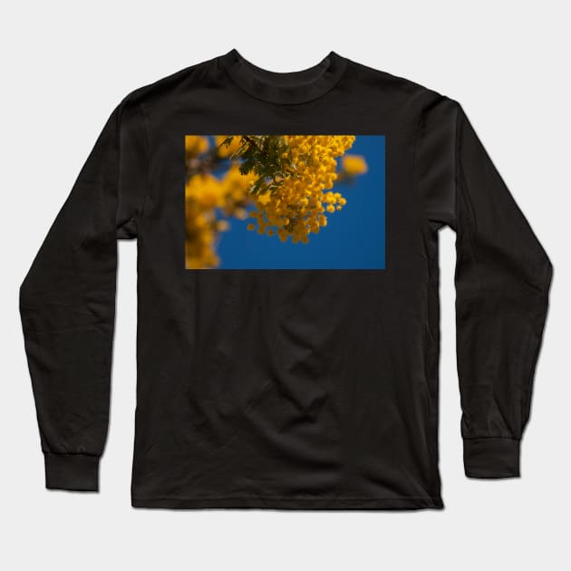 Wattle 1 Long Sleeve T-Shirt by DeborahMcGrath